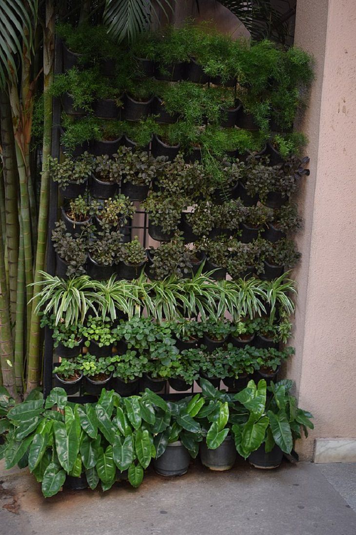 Unusual Gardening Methods,Hanging Garden