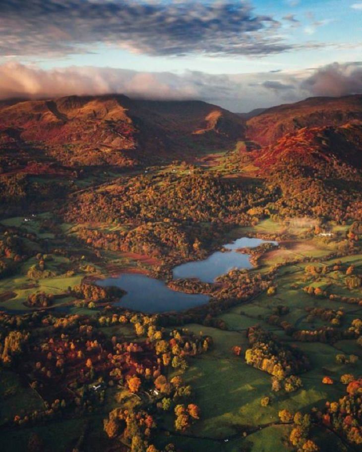 Nature Pics,Lake District, UK.