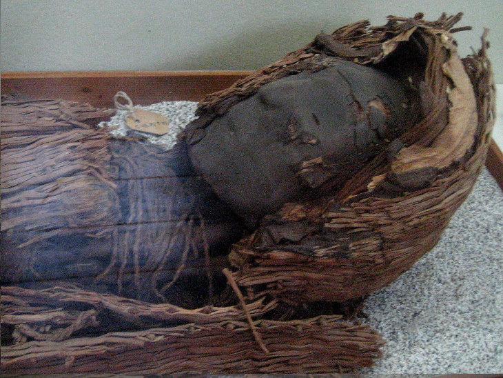 Mind-Blowing History Facts Mummy from the Chinchorro culture, found in Northern Chile