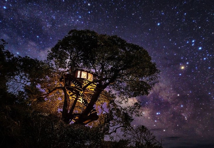 Night Sky, tree house