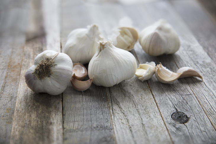 Herbs with Antiviral Properties Garlic