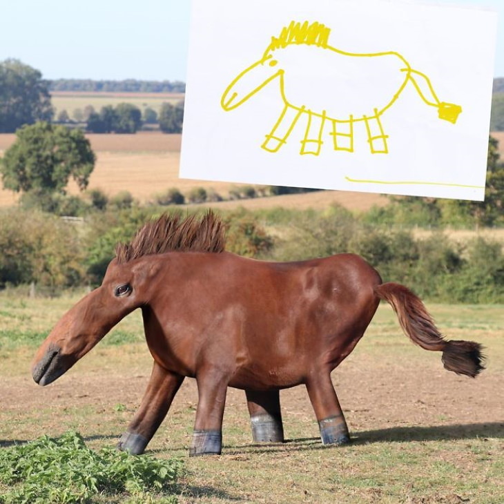 Tom Curtis ‘Things I Have Drawn’ horse