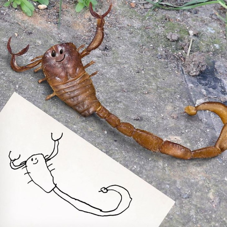 Tom Curtis ‘Things I Have Drawn’ scorpion