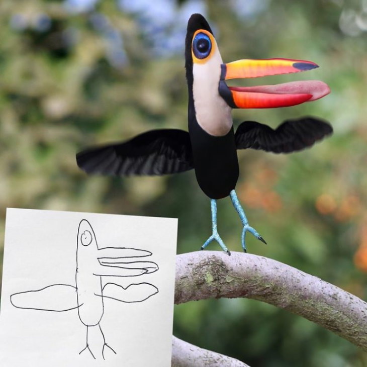 Tom Curtis ‘Things I Have Drawn’ toucan