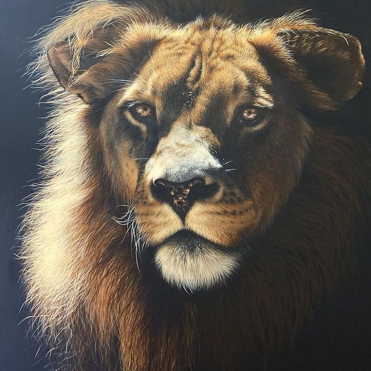 Wildlife Paintings, ion