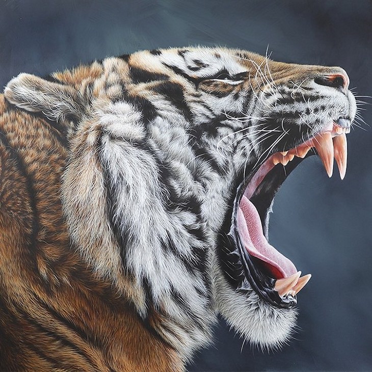 Wildlife Paintings,growling tiger
