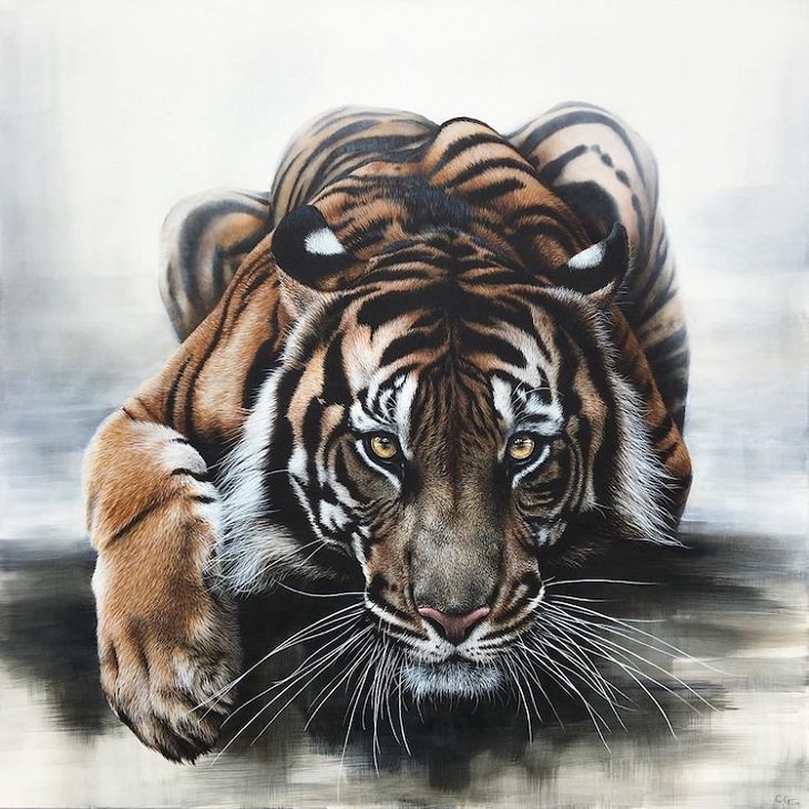Wildlife Paintings, tiger