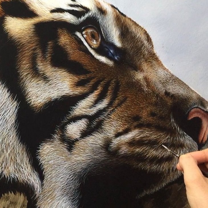 Wildlife Paintings tiger