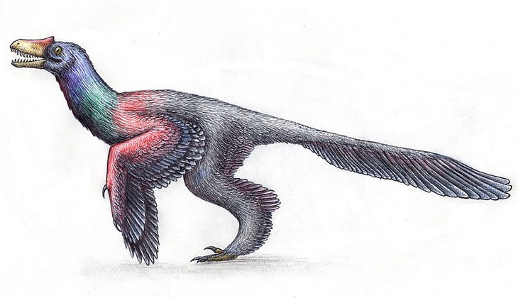 10 Wrong ‘Facts’ You Probably Learned In School dinosaur bird