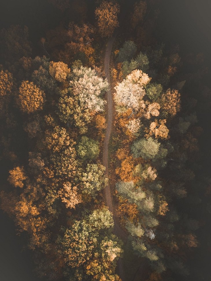 Aerial Photos, autumn in Sweden