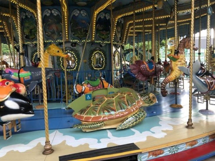 Genius Innovations for People With Disabilities This cute sea turtle in a carousel in Hong Kong was added so that disabled kids could join the fun