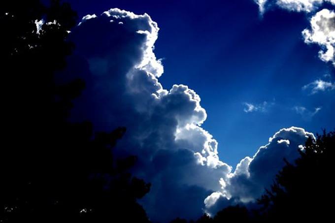 clouds behind trees