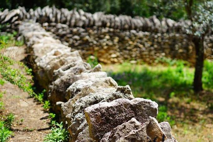 stone wall in countryside