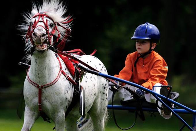 young boy racing a horse