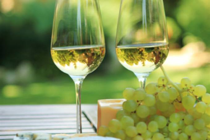 white wine and grapes