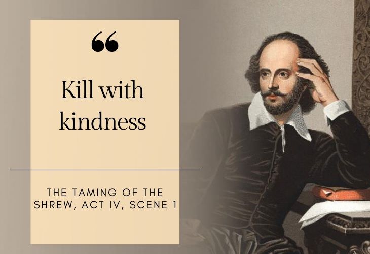 common phrases coined by Shakespeare Kill with kindness