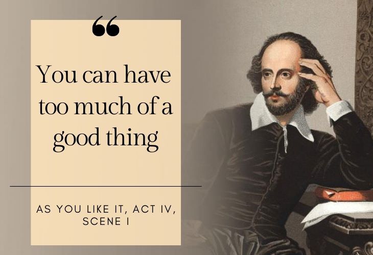 common phrases coined by Shakespeare You can have too much of a good thing