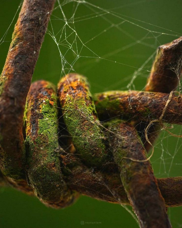 A Fascinating Microscopic Look a Ordinary Objects barbed wire