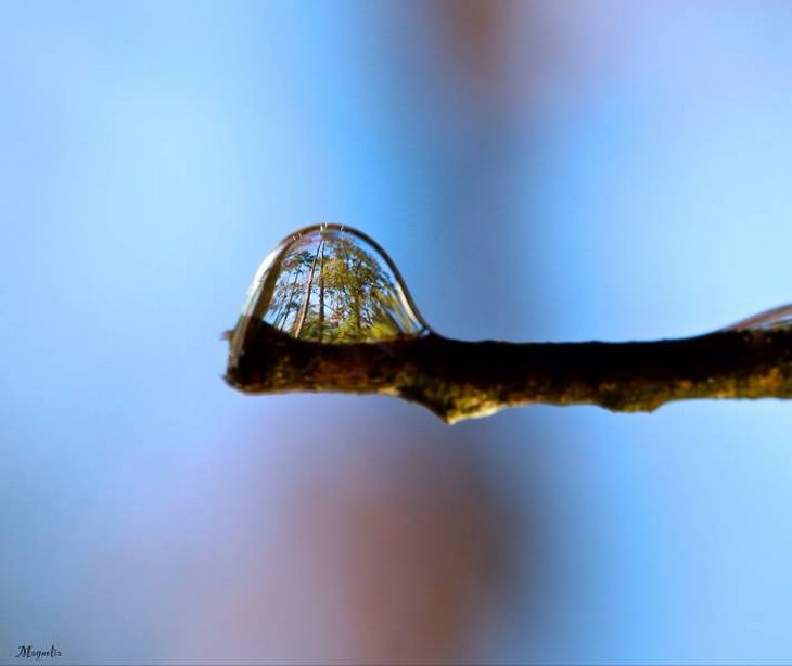 A Fascinating Microscopic Look a Ordinary Objects raindrop