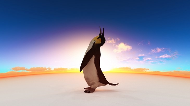 world's biggest birds, Emperor Penguin