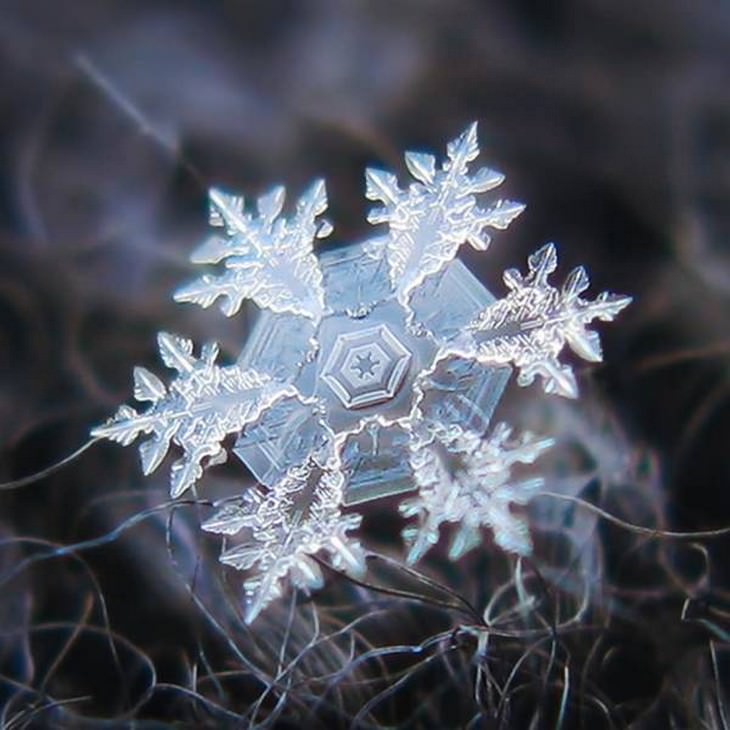 A Fascinating Microscopic Look a Ordinary Objects snowflake