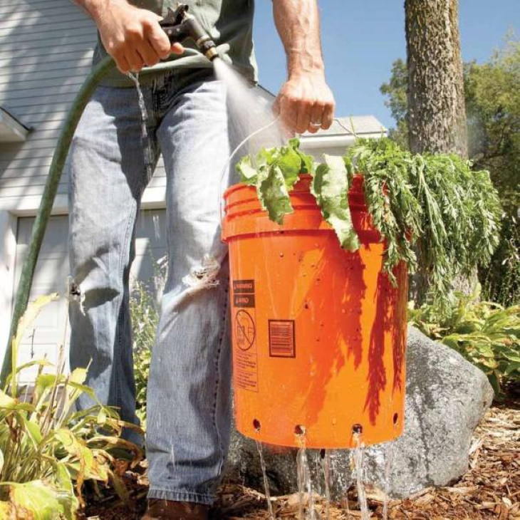 Solutions to Everyday Problems bucket to collect and wash vegetables and fruit 