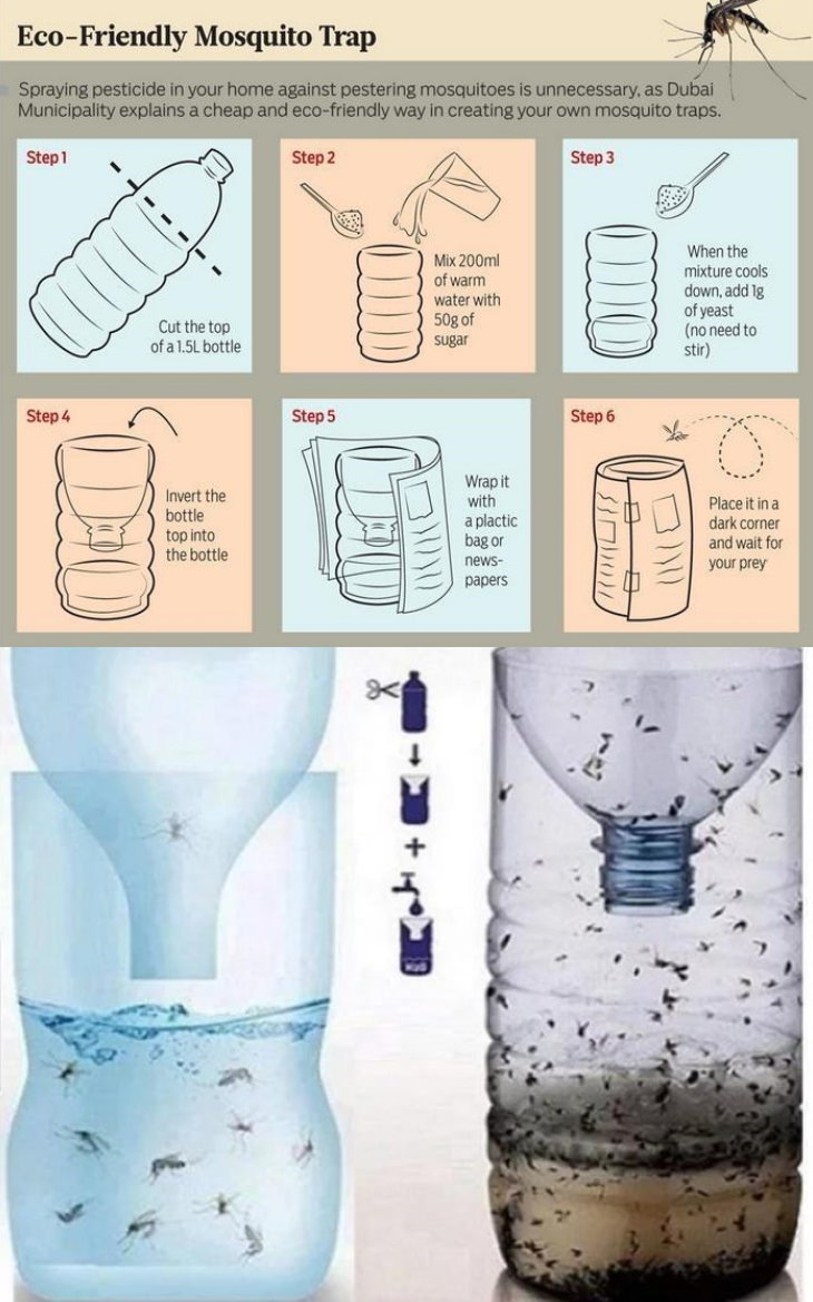 Bottle Mosquito Trap instructions