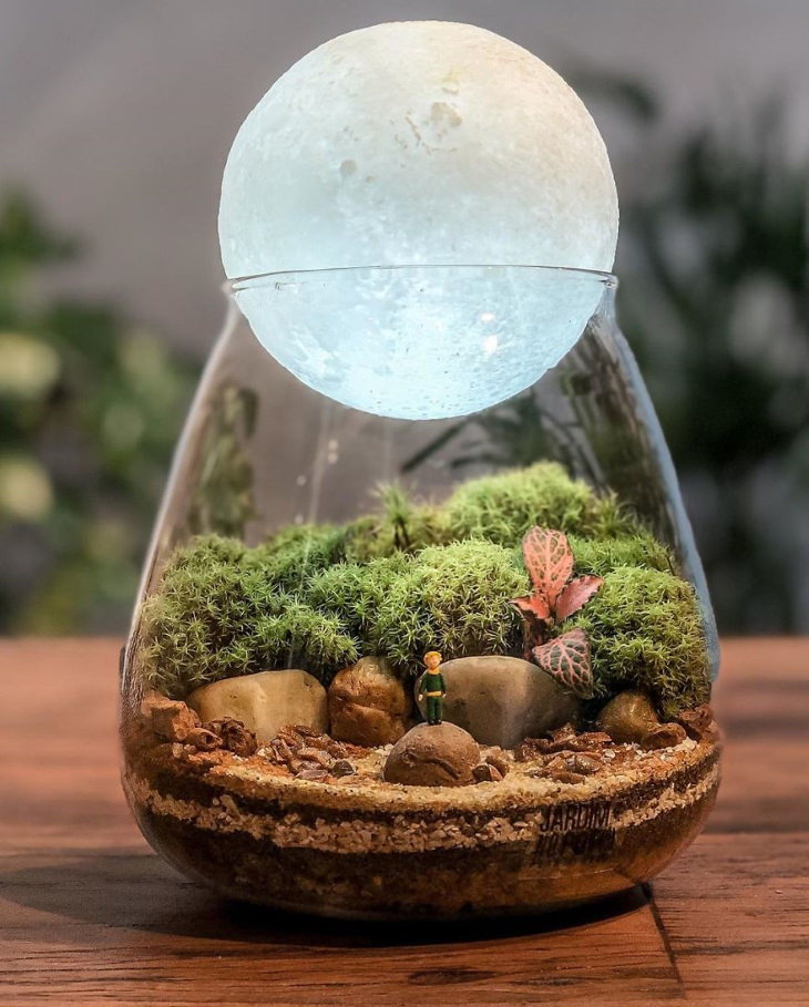 Lina Cirilo and Laura Gonçales mini ecosystems The Little Prince's Planet