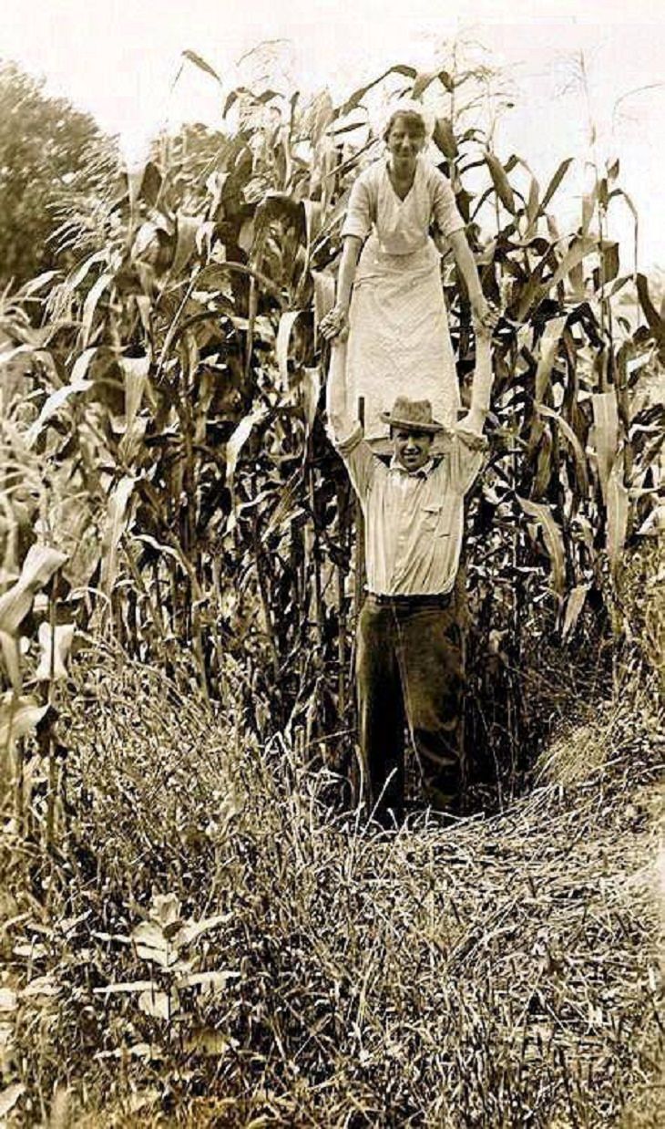 Vintage Photos,farmer
