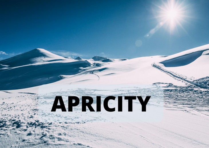 Oddly Specific & Often Funny Terms You Didn’t Know apricity