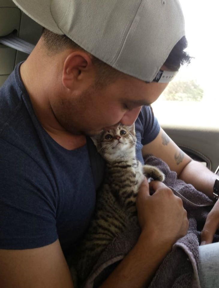 Emotional Animals kitten and guy
