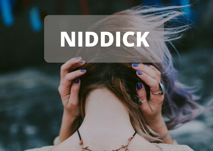 Oddly Specific & Often Funny Terms You Didn’t Know niddick