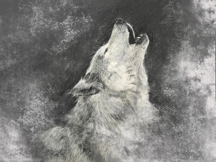 Spirit Animals, The Wolf