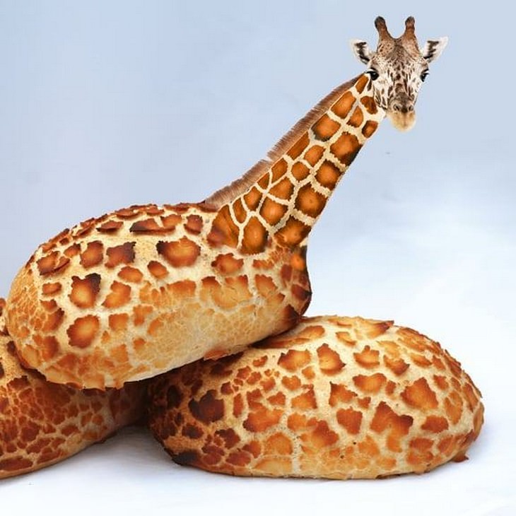 Funny Animal Photoshop giraffe