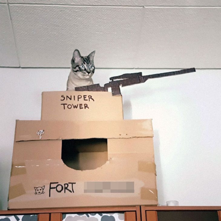 Homemade Cat Forts sniper