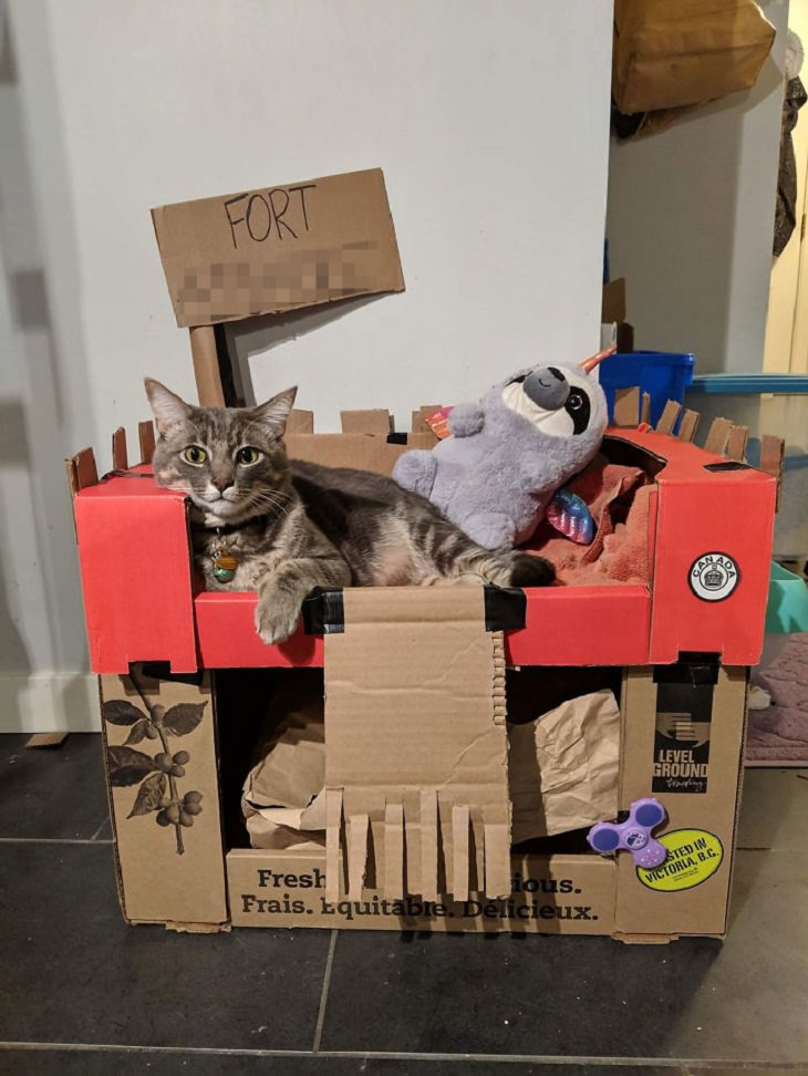 Homemade Cat Forts cat bed