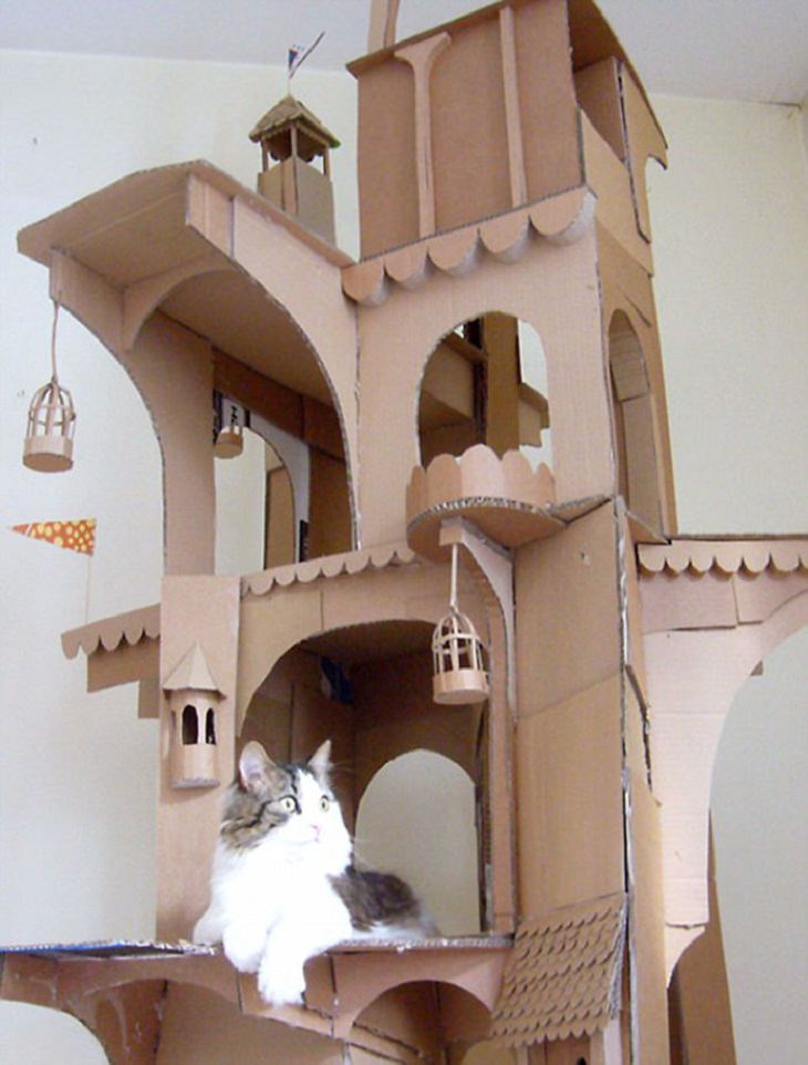 Homemade Cat Forts  The cat's lair