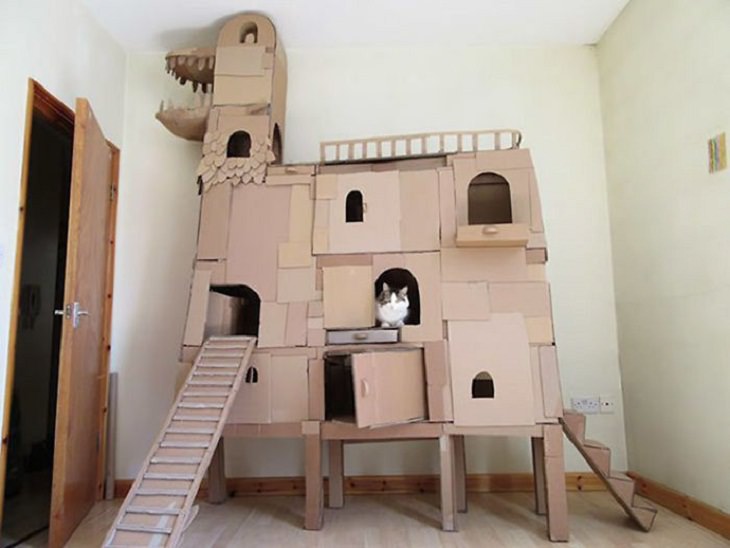 Homemade Cat Forts  dragon-shaped house