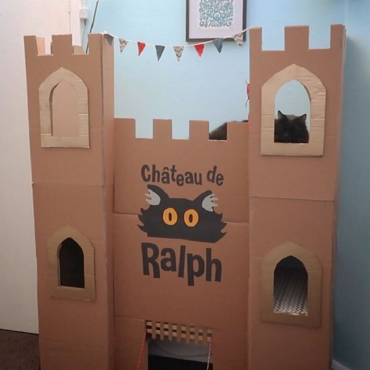 Homemade Cat Forts Ralph
