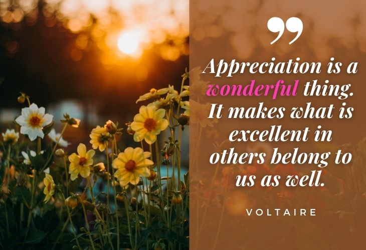 Gratitude Quotes Voltaire “Appreciation is a wonderful thing. It makes what is excellent in others belong to us as well.”