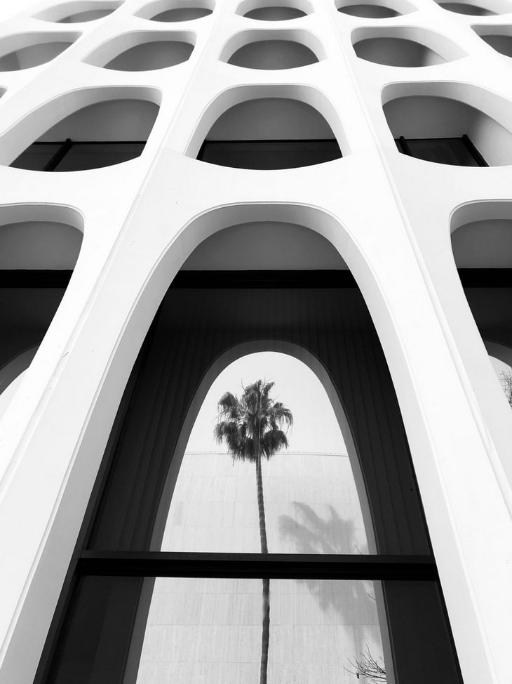 Winners of 2020 iPhone Photography Awards Architecture 2nd Place - 'Palm Tree'