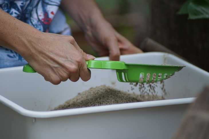 Pet Cleaning Tips litter box