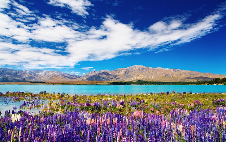 Happiest Countries, New Zealand