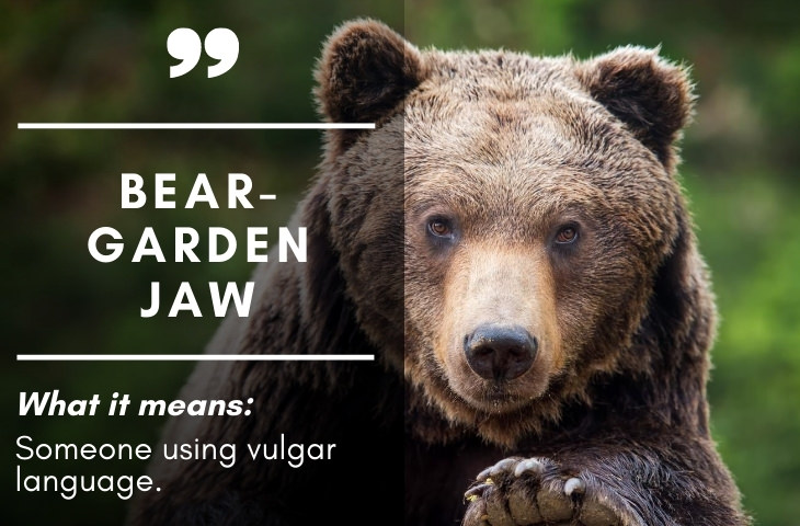 Colonial Era Terms Bear-garden Jaw