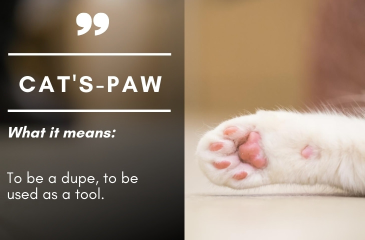 Colonial Era Terms Cat's Paw