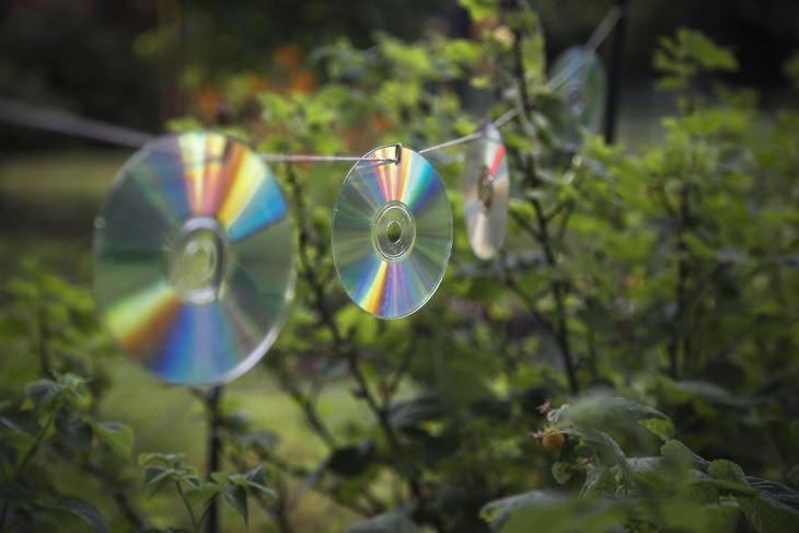 Garden Repurposing Ideas Old CDs