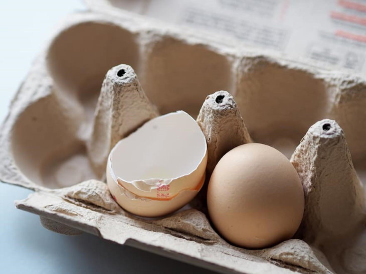 Garden Repurposing Ideas Egg Cartons