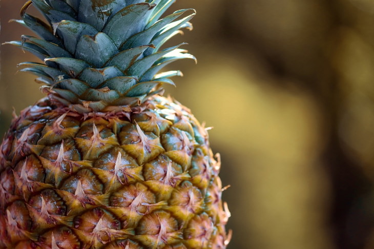 Foods That Relieve Joint Pain Pineapple