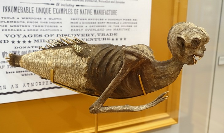 Weirdest Historical Events, The Feejee Mermaid