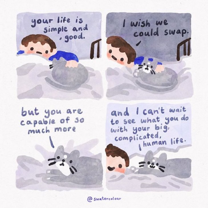 Comics About Cat Giving Mental Health Advice